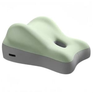 the sensuara pillow