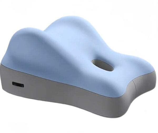 the sensuara pillow